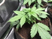 51C7E157-468D-45D8-80BF-AA57BE6BF94A