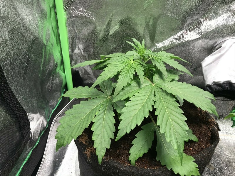 C17CFFD5-7218-4D11-A7CD-372B9C510FCE