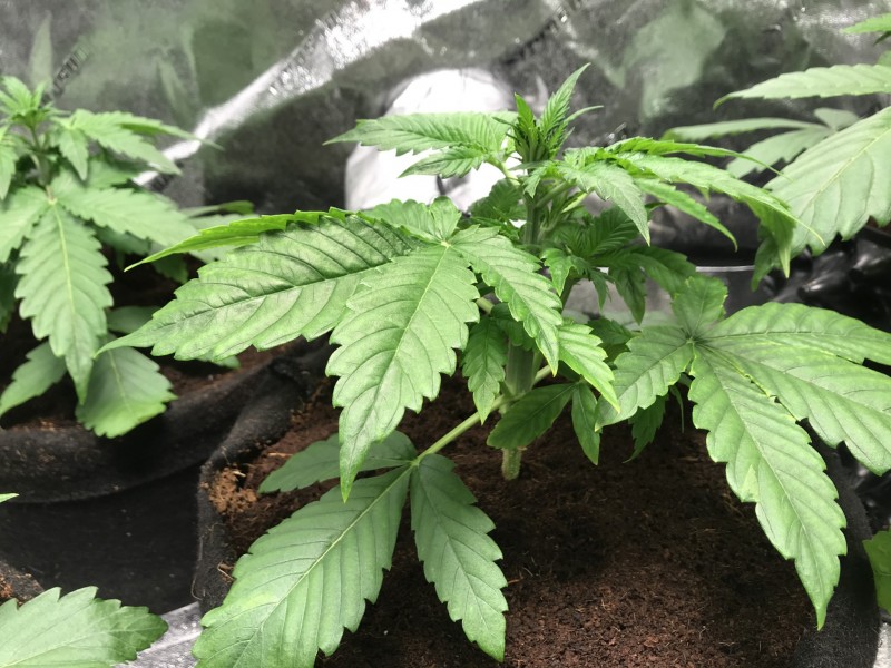 F82D40F5-C71E-4522-8246-C4A6428B0046