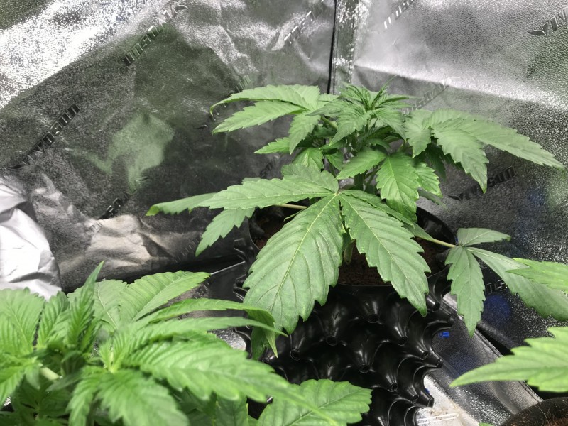 045F5BEC-D427-4223-852C-5D41AA80B574