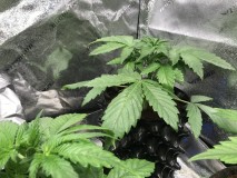 045F5BEC-D427-4223-852C-5D41AA80B574