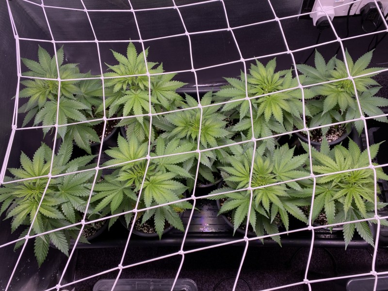 AED67EE9-BA83-4951-8CC3-4C2D9BC1569D