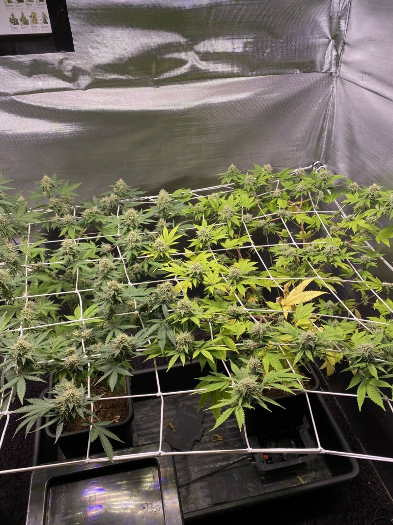 DED22D6D-BAD2-4517-94EB-A1714A1AB00E