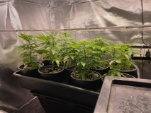 DF630386-922F-40C6-ABF7-AD9D1FFF0C70