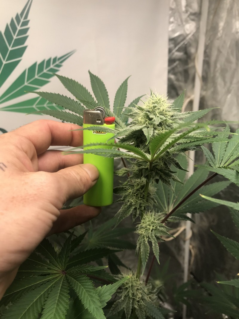 E4684B5B-0798-4BFA-BB20-AE4B921D1891