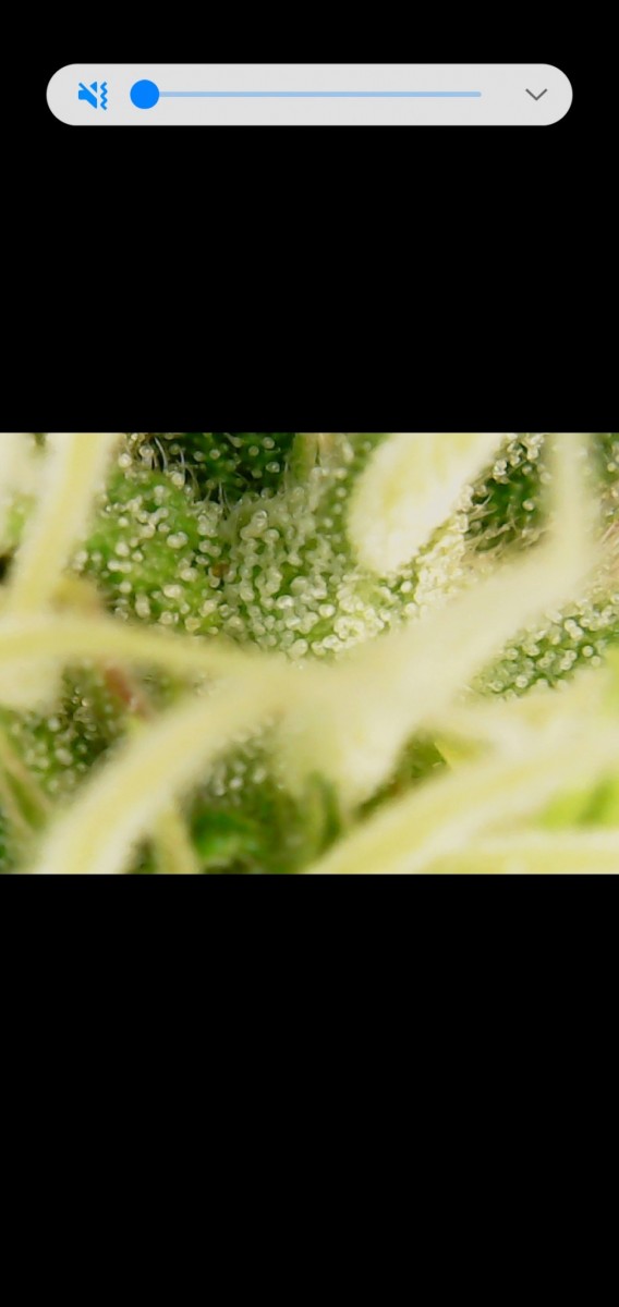 Screenshot_20201018-103435_Gallery