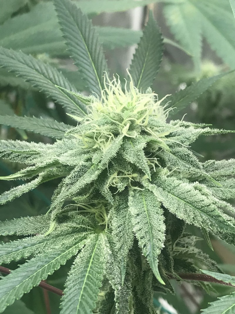 86622F02-BE5F-40E4-A73E-A13A9EF3CAD1