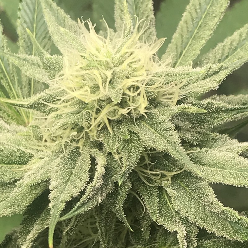 4A3EE08B-92C1-4BAA-876E-5A365DC2FA3A