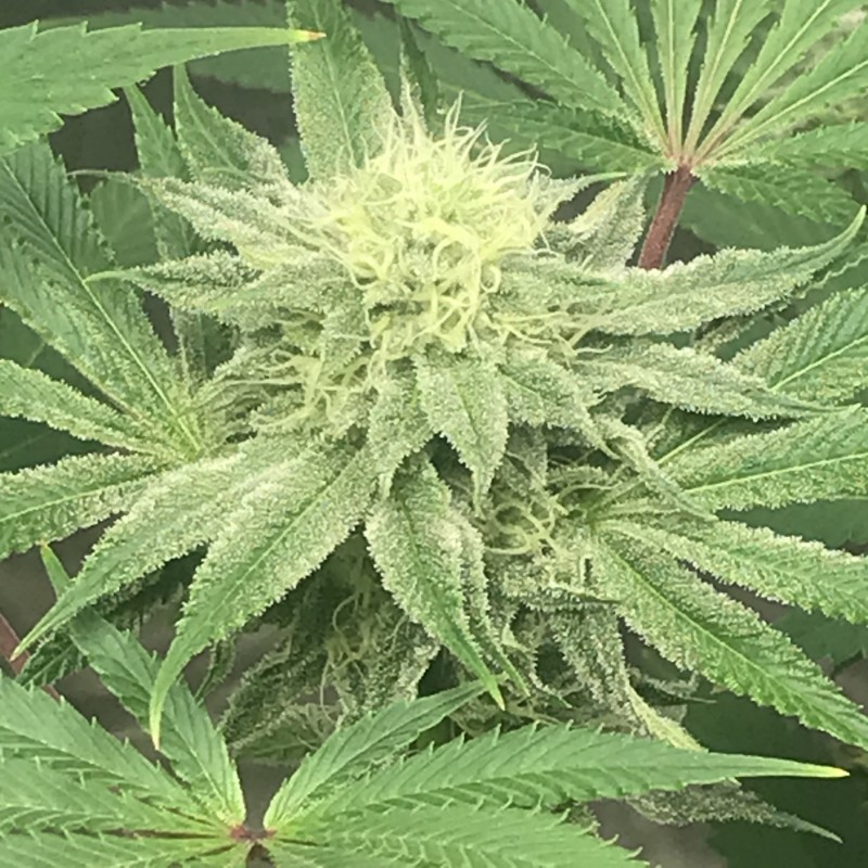 871F7340-3A04-48DA-816C-47146784496E