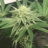 1E26FBCF-9700-48B3-93D0-569D337A134B