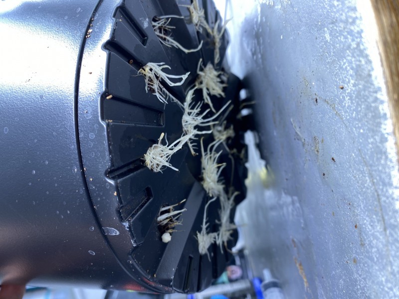 AB05CAC1-FD84-4B38-9040-0448B6F5BC69