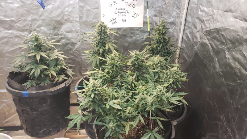 16031187401566466599139126113807