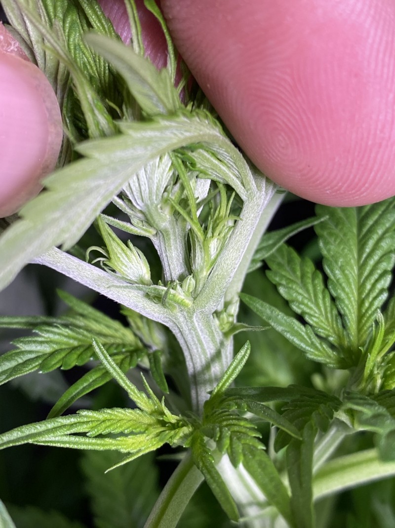 A0289107-7C3D-4B70-B28F-C2F9587BAB1B