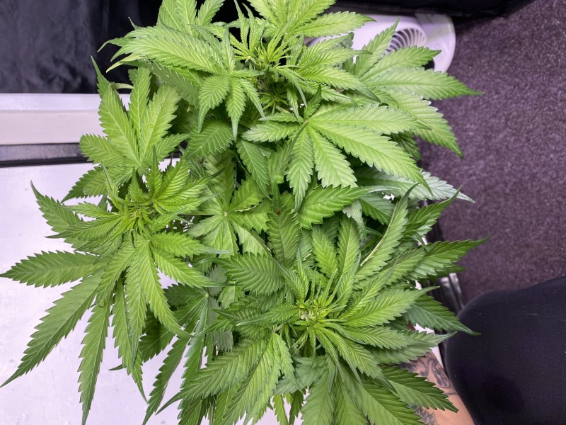 89F817E9-F5D8-400B-AE2E-BA2860DC02CE