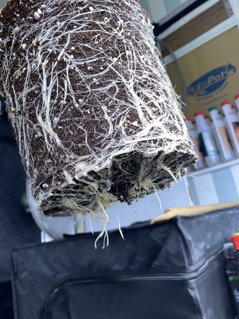 5AFF2250-3BA7-4327-A8F4-D4998D6A2A96