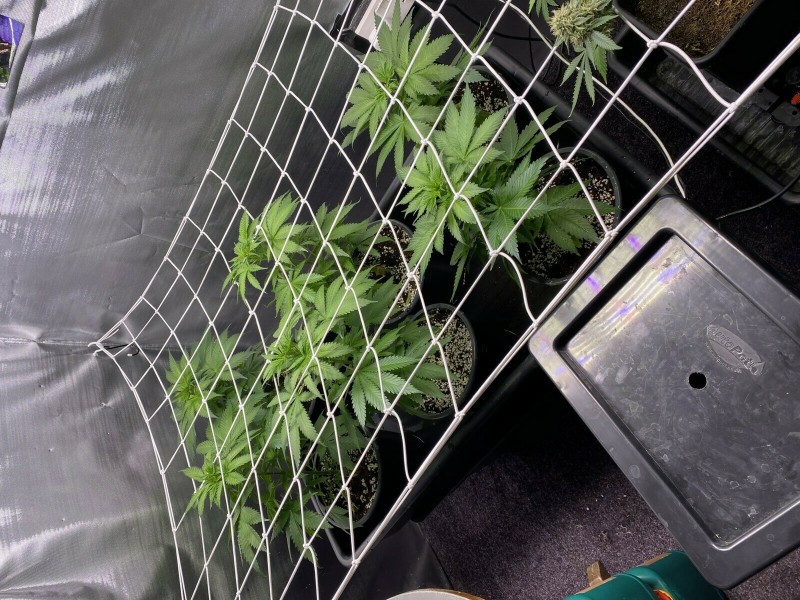 4E6F784A-3BC9-4A75-BDE4-D77678922393