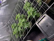 4E6F784A-3BC9-4A75-BDE4-D77678922393