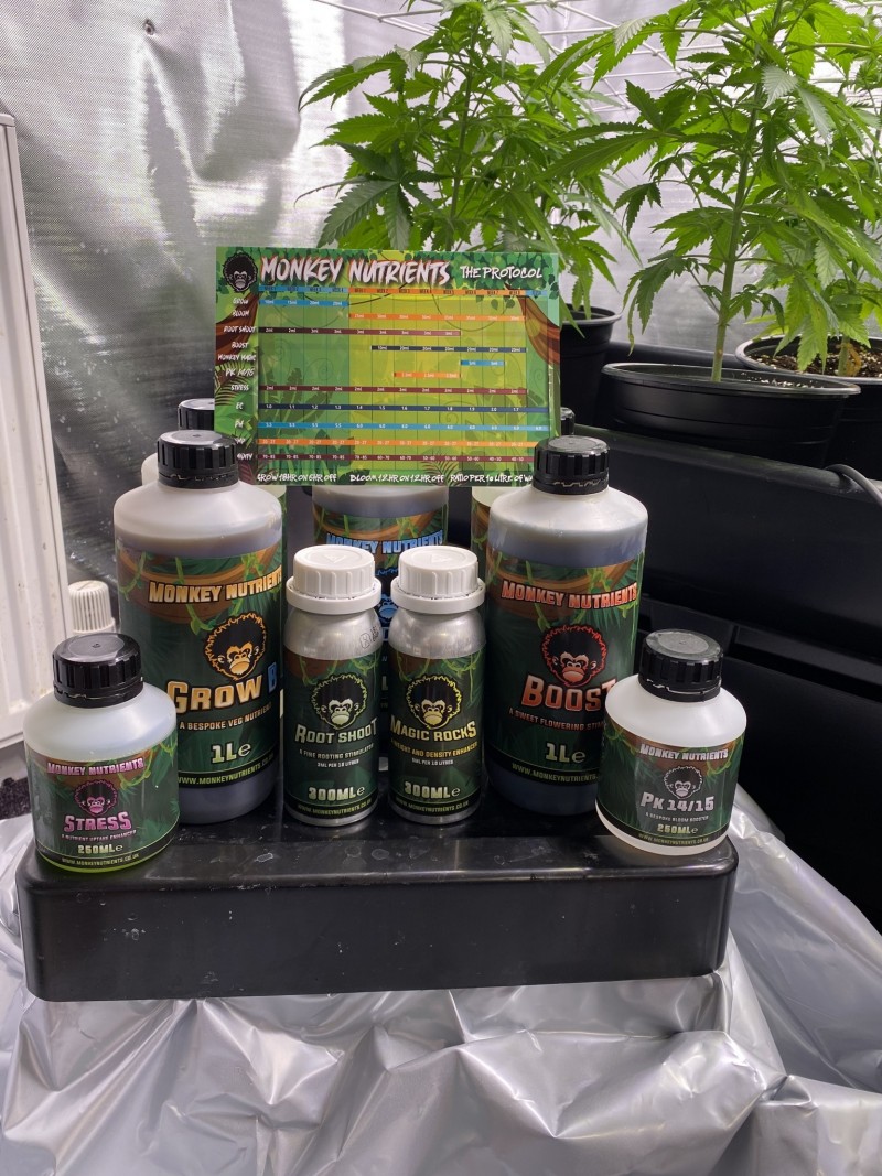 7D4EDD8D-ED53-4007-9C02-D105564CD02D