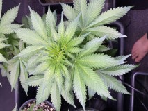 ABA6123B-59E1-472E-AF46-4AAACA044653