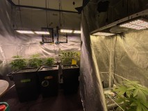 73E85716-1D26-4B5B-8829-9C29A5E8CB95