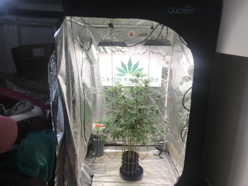 20A5864B-F5DD-4F80-BEDB-5DA1B442E071