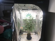 20A5864B-F5DD-4F80-BEDB-5DA1B442E071