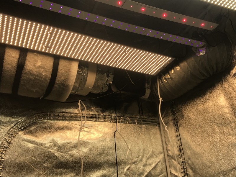 A63EACA2-F4DA-417D-9C90-FCD437DB0314