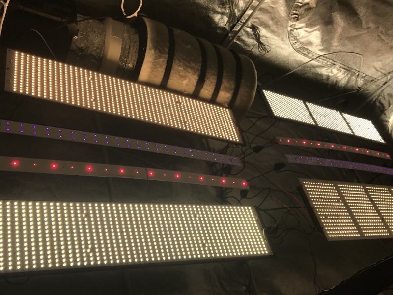 E3E2662A-80A7-4E58-B10B-19820E427574