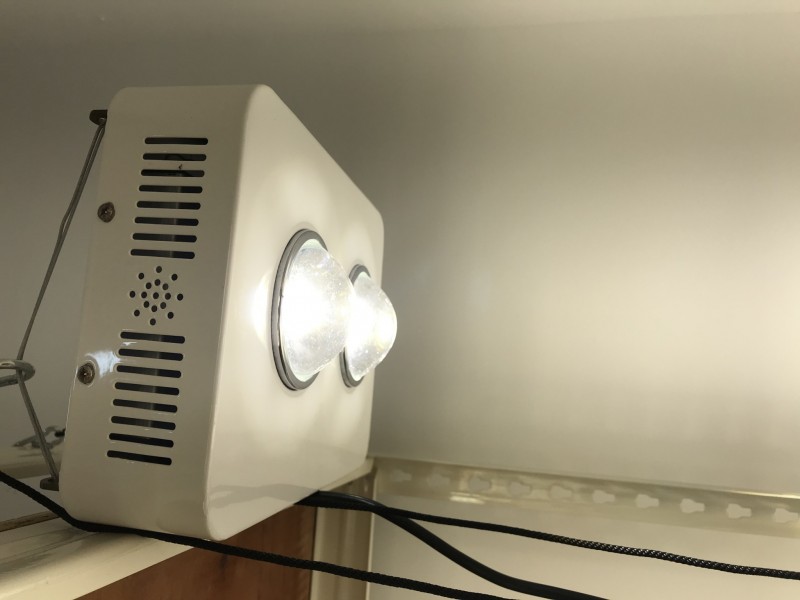 37F59B3C-6D58-4418-B608-975666CE2325