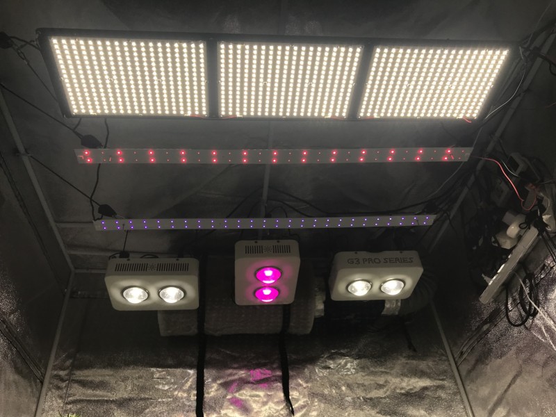 68A6AF55-E5A9-4A68-92E0-4A5335490258