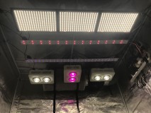 68A6AF55-E5A9-4A68-92E0-4A5335490258