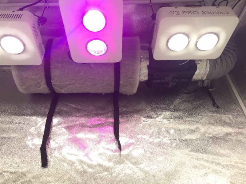 EFD695CA-1553-4183-8A85-3E6EACDE5A25