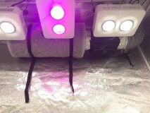 EFD695CA-1553-4183-8A85-3E6EACDE5A25