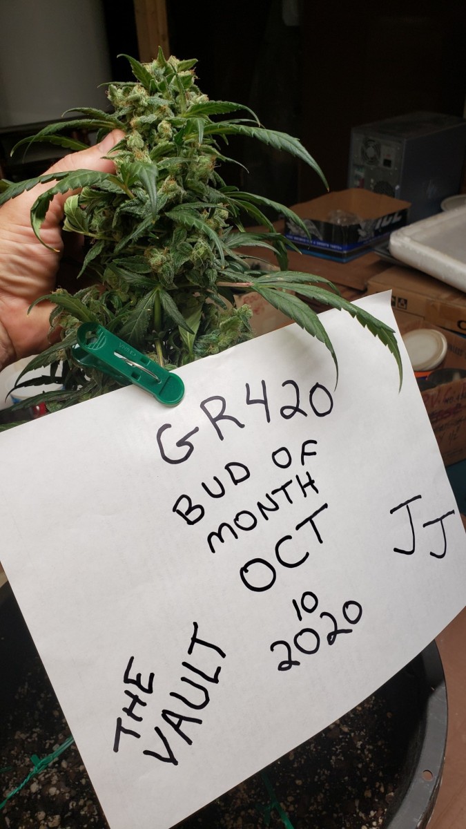 16032968186322916971025878633743