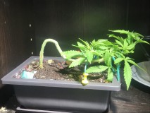 E282F15E-808C-411B-ACED-103891EC6ABB