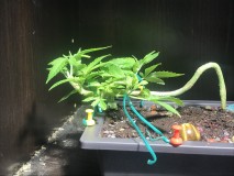 F73DE5B7-F3BC-4CD6-A623-A5791607598B