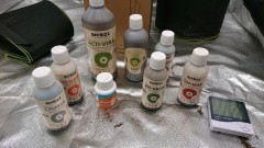 obscura1603369893769