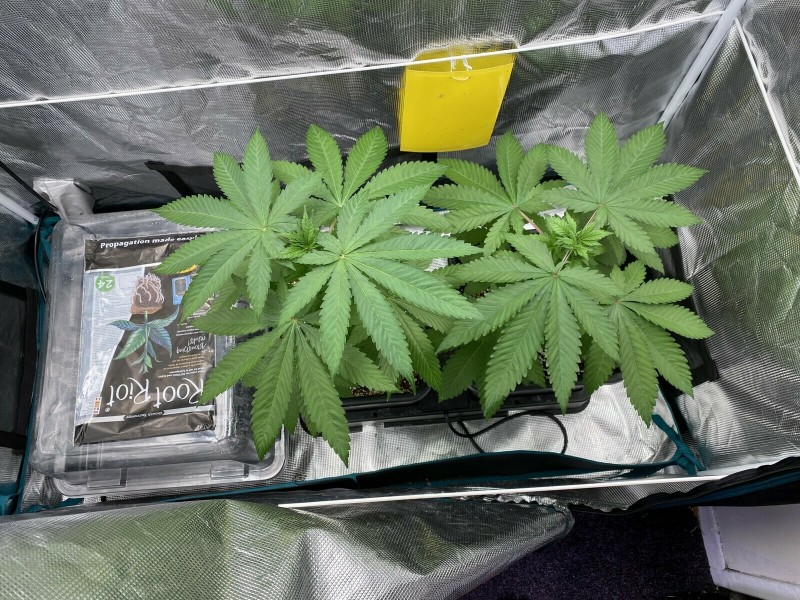 518BC64D-52C5-4ED7-B458-1C94E2574C1F