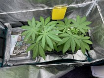 518BC64D-52C5-4ED7-B458-1C94E2574C1F