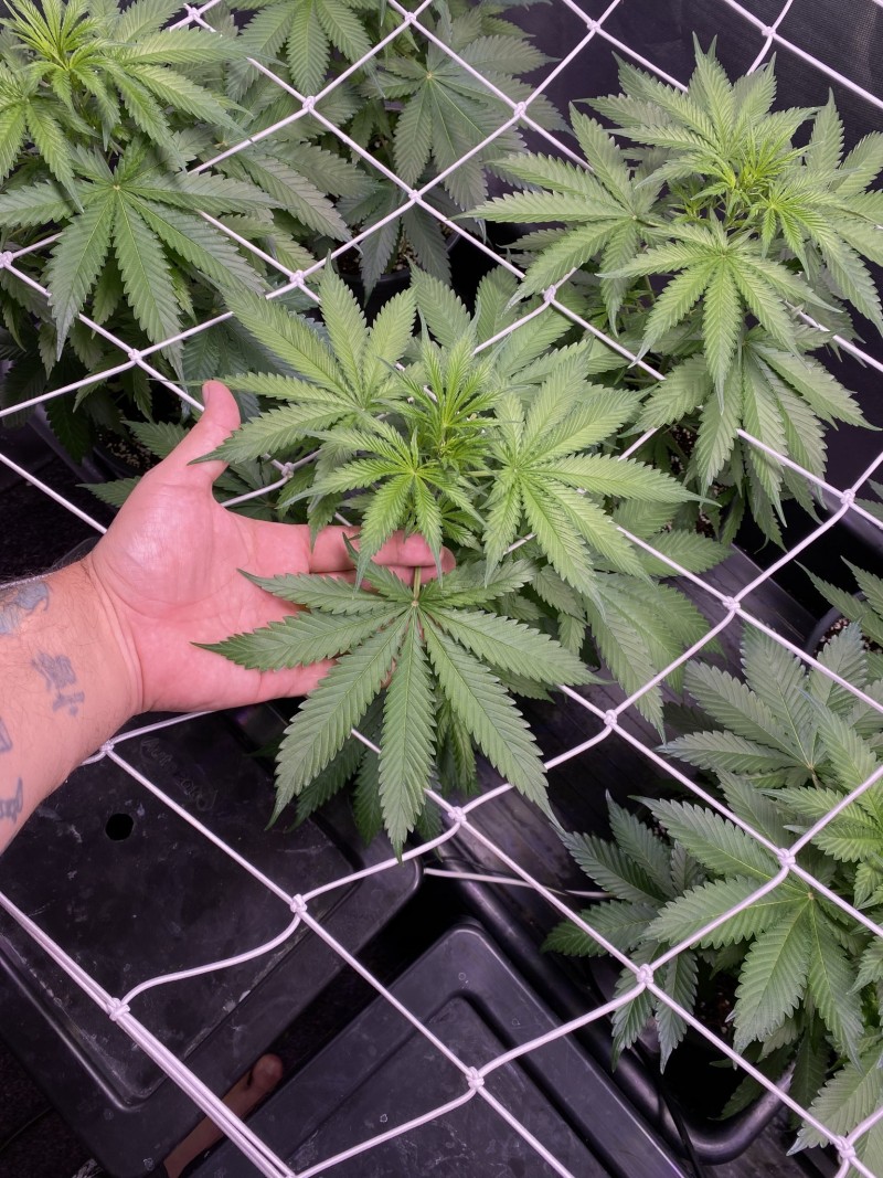 895C20B1-F601-481F-B7B3-CE934C6AAE1D