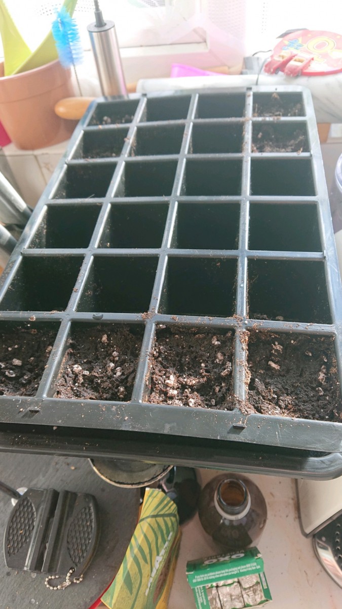 obscura1603373392808