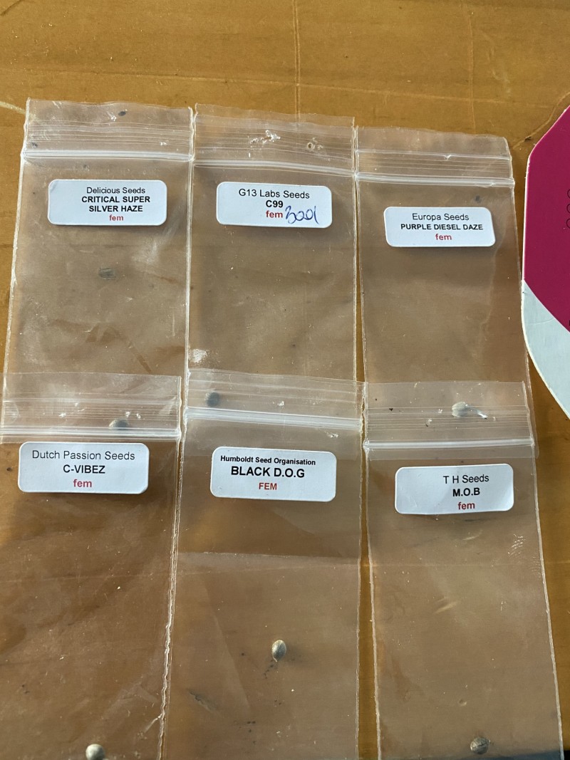 7D263865-974C-4F08-9E4D-6FE734F23FEA