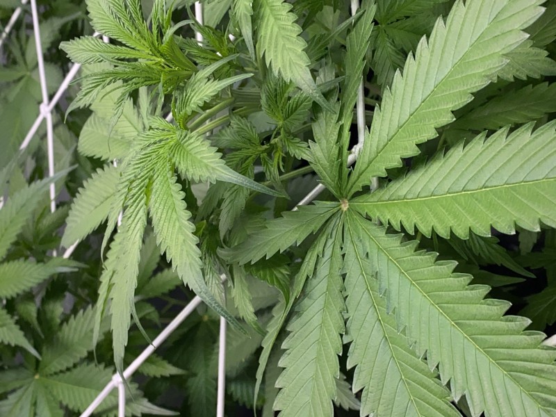 7DCB30C3-F271-4AE9-97F5-341E8AD510B8