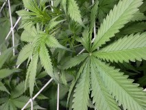 7DCB30C3-F271-4AE9-97F5-341E8AD510B8