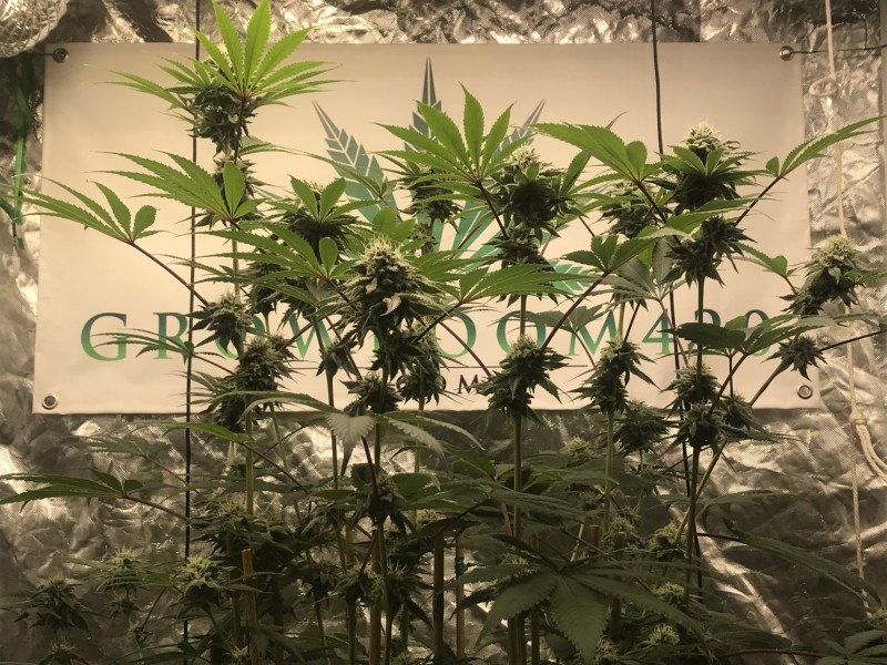 5487D11C-D029-40EF-A6E3-9AF0D82CAA1B