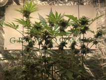 5487D11C-D029-40EF-A6E3-9AF0D82CAA1B