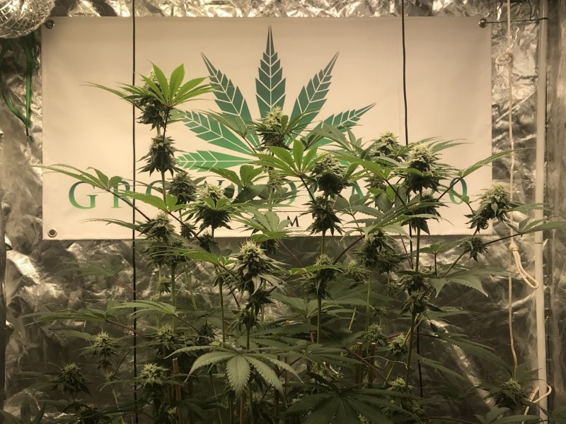 37258814-D212-4FBD-BCD0-910B141E890B