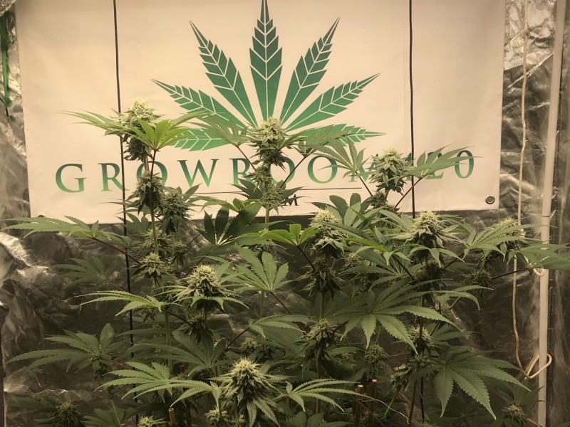 830010B3-EF06-4E4B-875D-2A65E7744B33