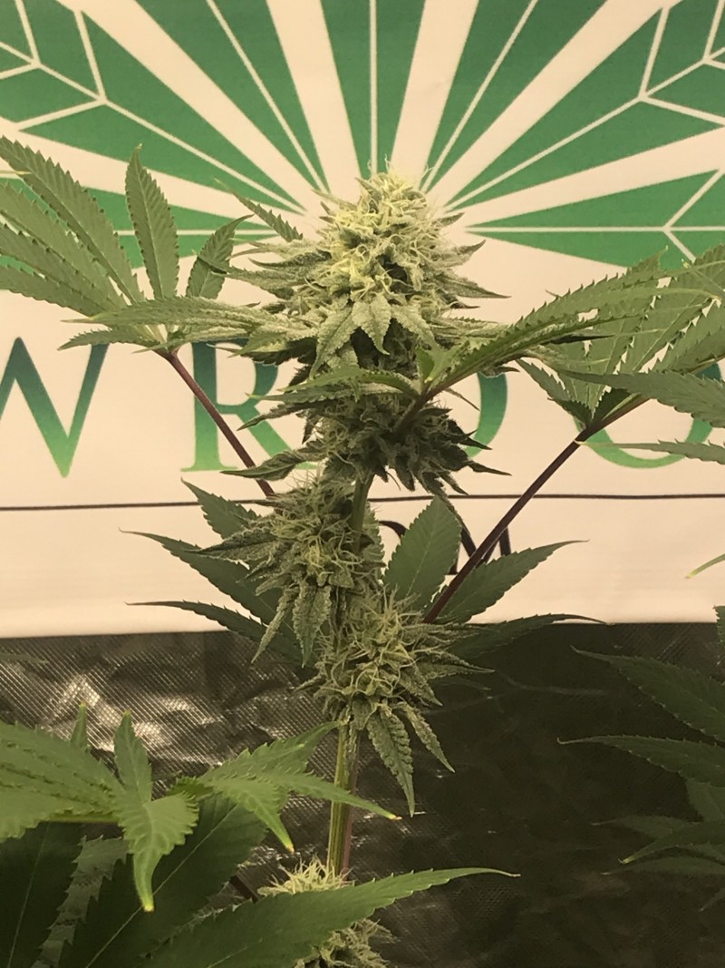 37E41C43-1AAB-47AB-B19E-A9E29398502D