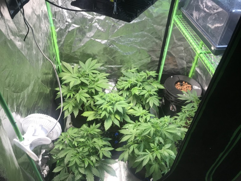 7CA9AA14-8C4E-45ED-AE26-63D5A44907F5